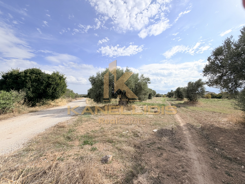 property-img